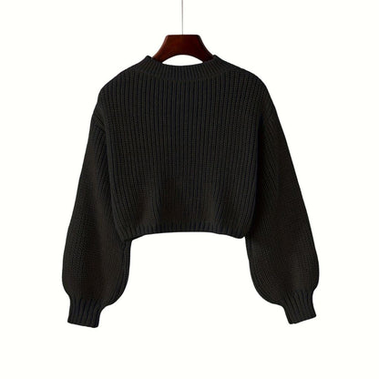 Solid Crew Neck Crop Sweater